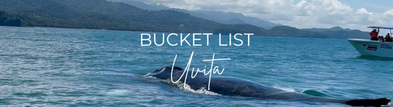 Bucket List Uvita